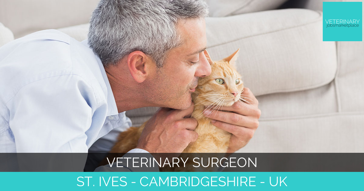 Veterinary Surgeon