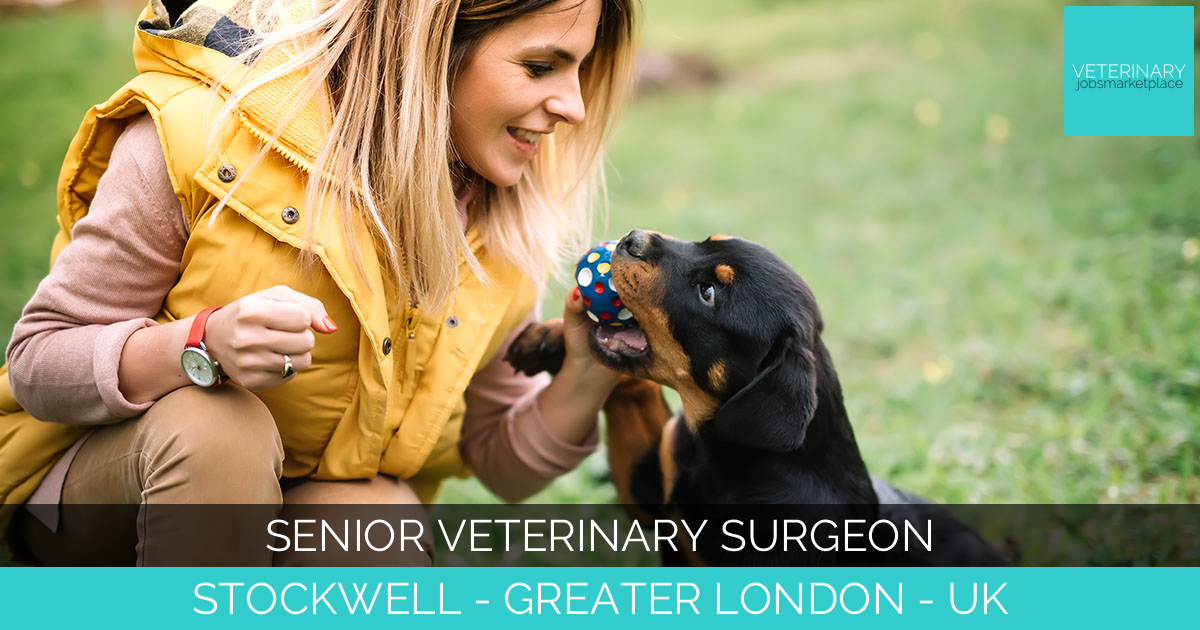 Senior Veterinary Surgeon