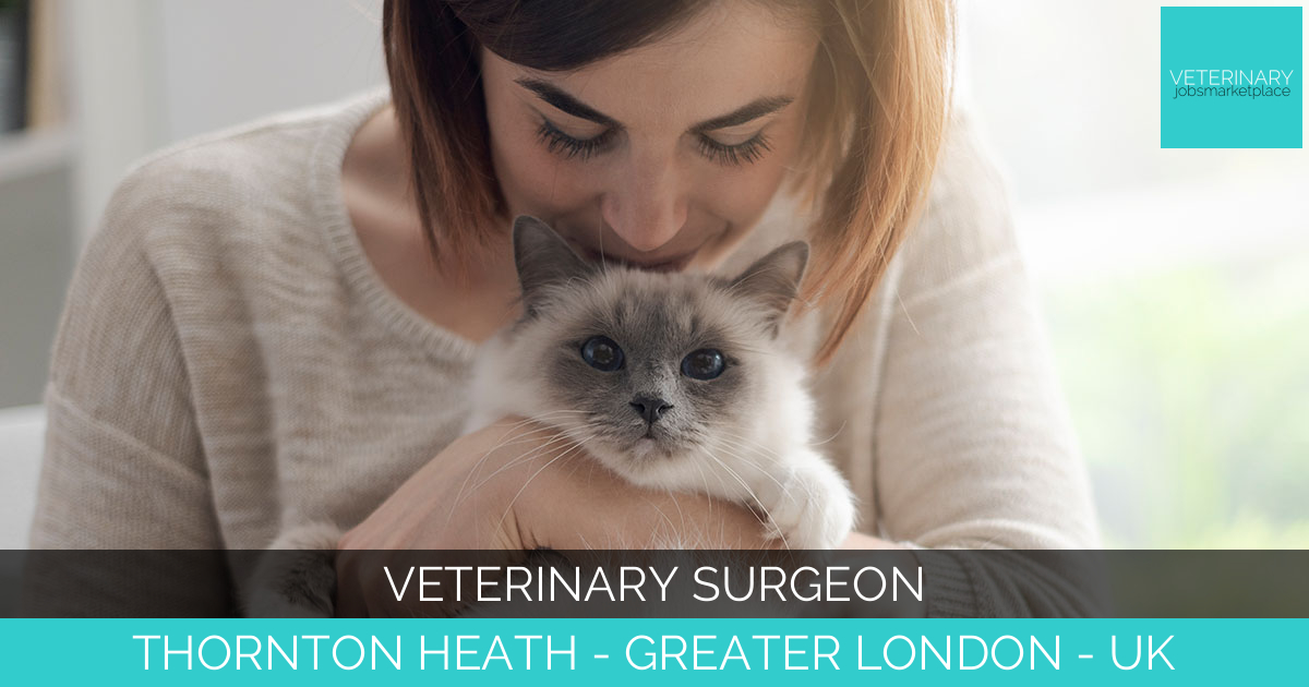 Veterinary Surgeon