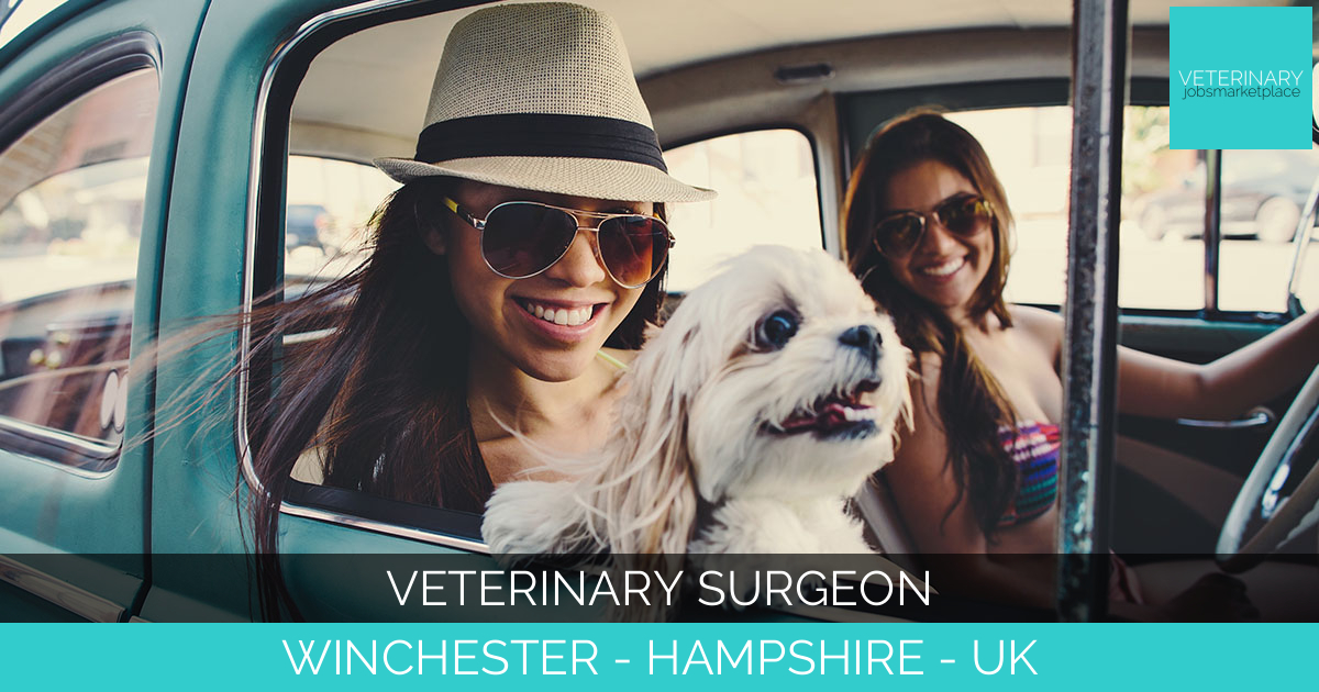 Veterinary Surgeon