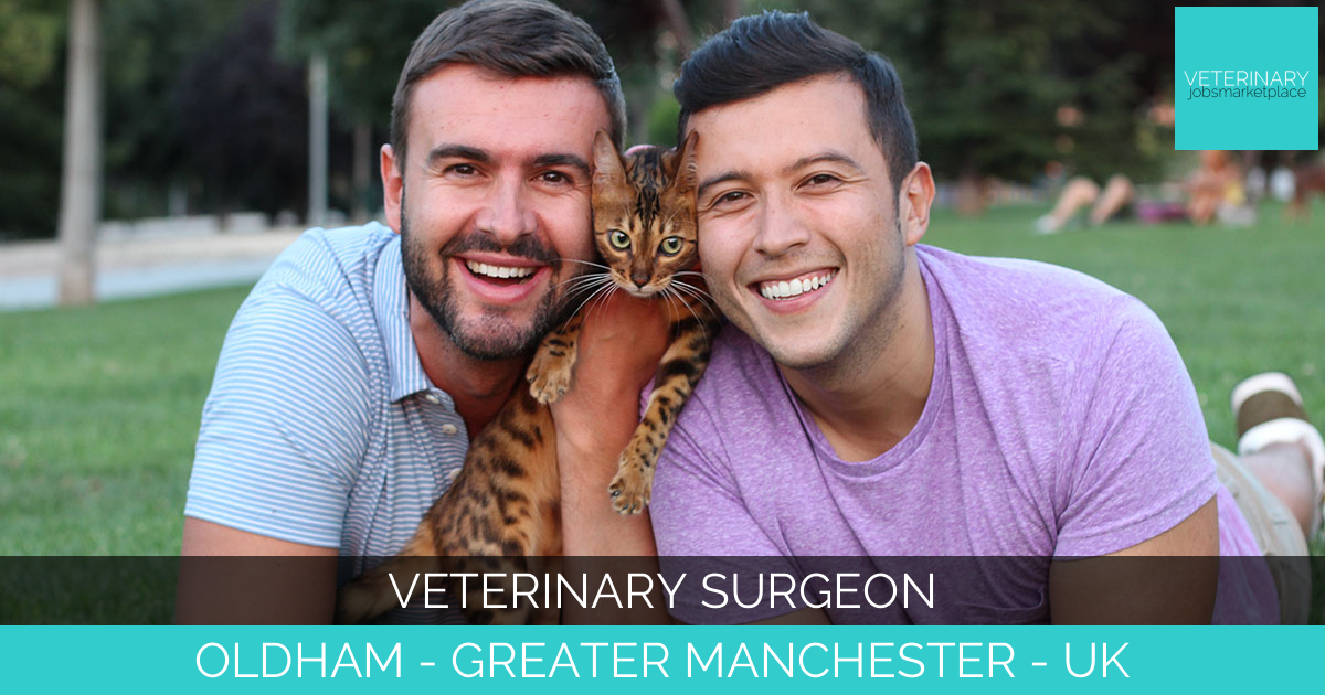 Veterinary Surgeon