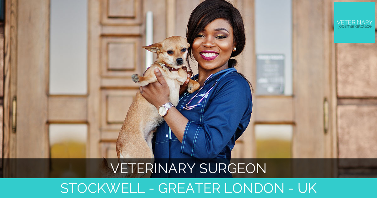 Veterinary Surgeon