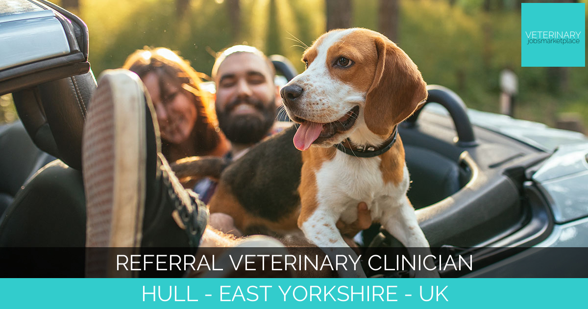 Referral Veterinary Clinician